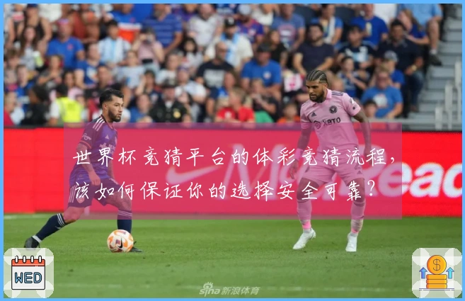 世界杯竞猜平台的体彩竞猜流程，该如何保证你的选择安全可靠？