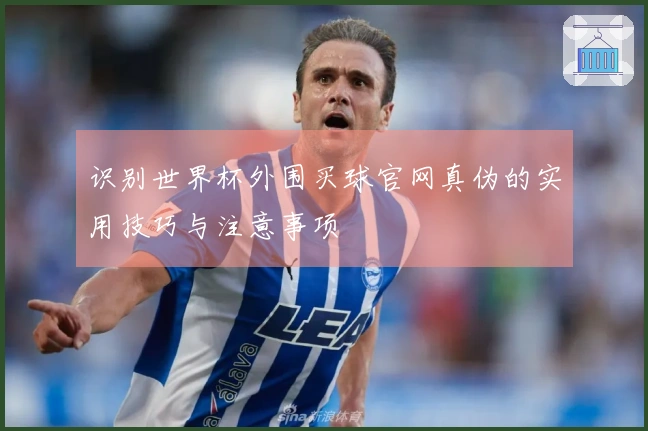 识别世界杯外围买球官网真伪的实用技巧与注意事项
