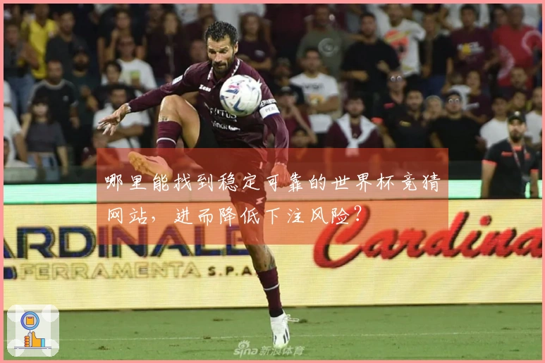 哪里能找到稳定可靠的世界杯竞猜网站，进而降低下注风险？