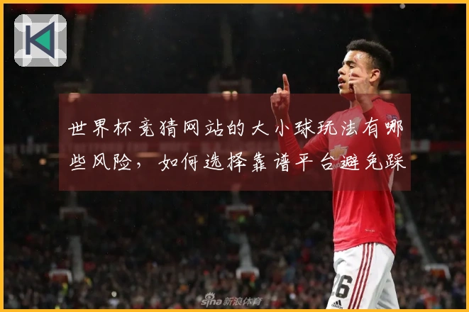世界杯竞猜网站的大小球玩法有哪些风险，如何选择靠谱平台避免踩雷？