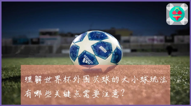 理解世界杯外围买球的大小球玩法有哪些关键点需要注意？