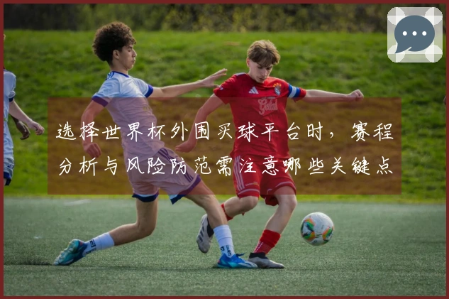 选择世界杯外围买球平台时，赛程分析与风险防范需注意哪些关键点