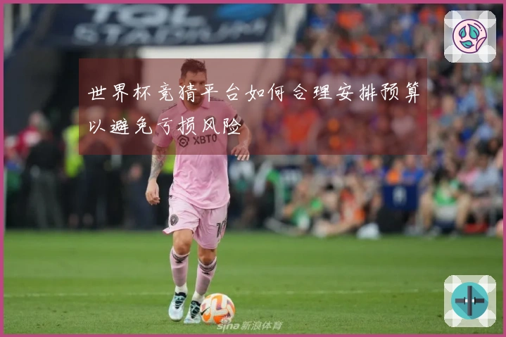 世界杯竞猜平台如何合理安排预算以避免亏损风险