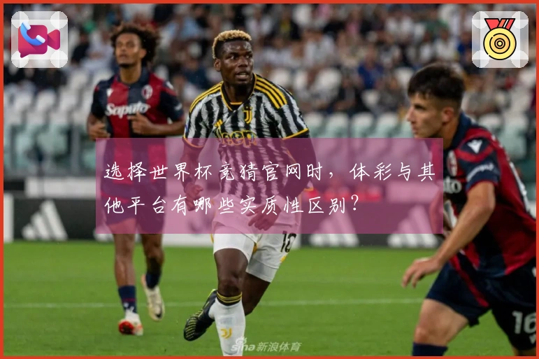 选择世界杯竞猜官网时，体彩与其他平台有哪些实质性区别？