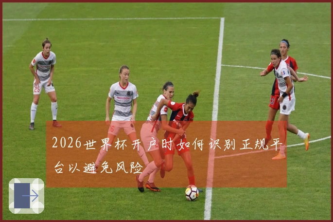 2026世界杯开户时如何识别正规平台以避免风险