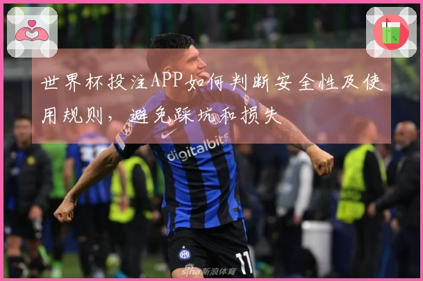 世界杯投注APP如何判断安全性及使用规则,避免踩坑和损失
