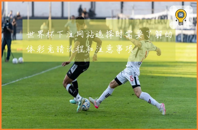 世界杯下注网站选择时需要了解的体彩竞猜流程和注意事项
