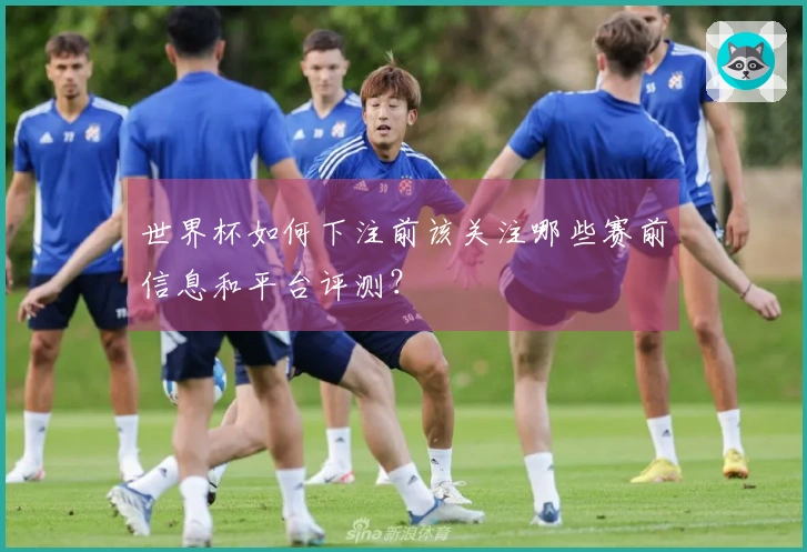 世界杯如何下注前该关注哪些赛前信息和平台评测？