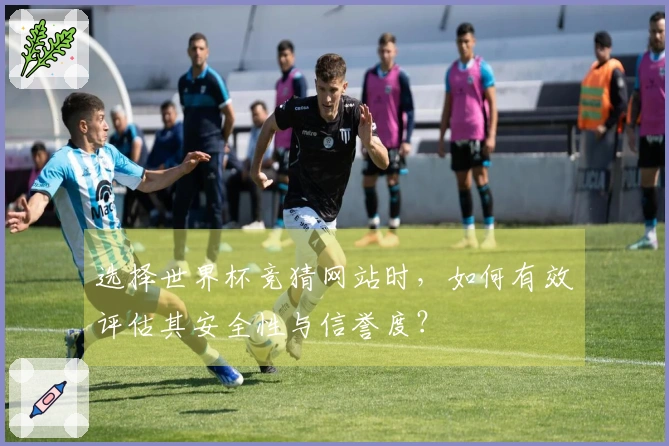 选择世界杯竞猜网站时，如何有效评估其安全性与信誉度？