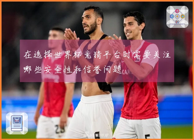 在选择世界杯竞猜平台时需要关注哪些安全性和信誉问题