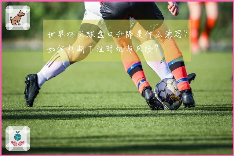 世界杯买球盘口升降是什么意思？如何判断下注时机与风险？
