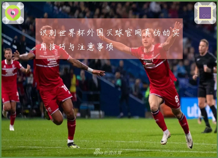 识别世界杯外围买球官网真伪的实用技巧与注意事项