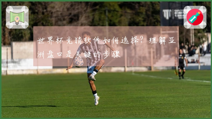 世界杯竞猜软件如何选择？理解亚洲盘口是关键的步骤