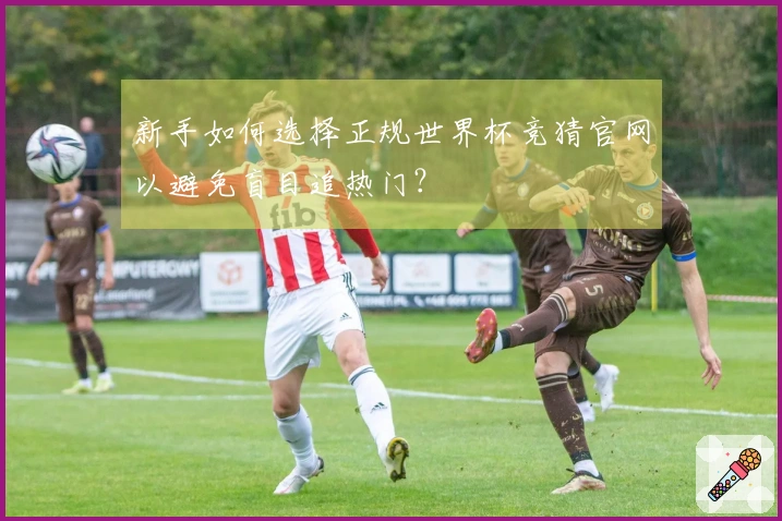 新手如何选择正规世界杯竞猜官网以避免盲目追热门？