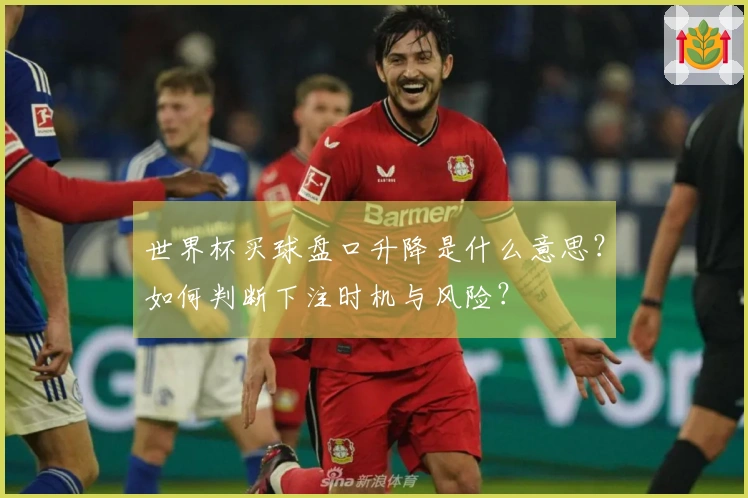 世界杯买球盘口升降是什么意思？如何判断下注时机与风险？