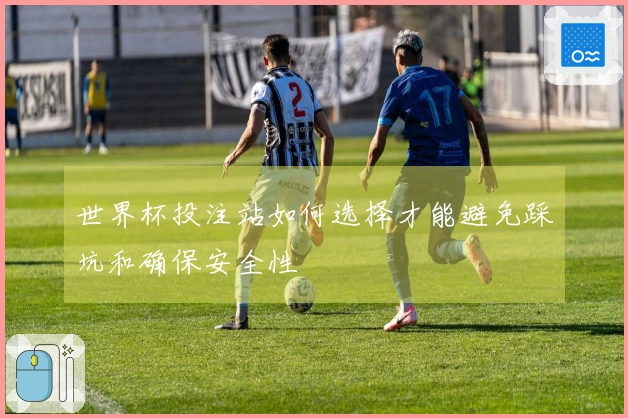 世界杯投注站如何选择才能避免踩坑和确保安全性