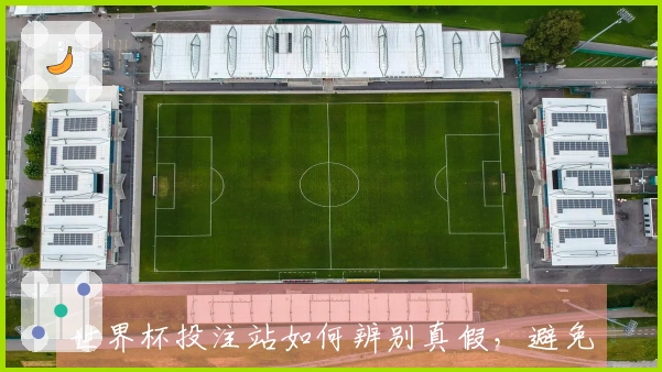 世界杯投注站如何辨别真假，避免踩雷的实用技巧与建议