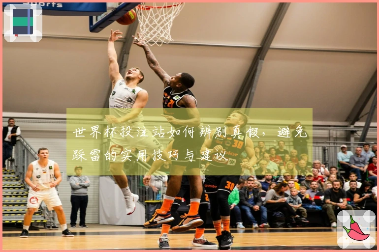 世界杯投注站如何辨别真假，避免踩雷的实用技巧与建议