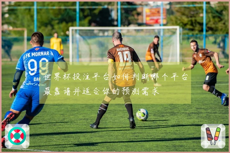 世界杯投注平台如何判断哪个平台最靠谱并适合你的预测需求
