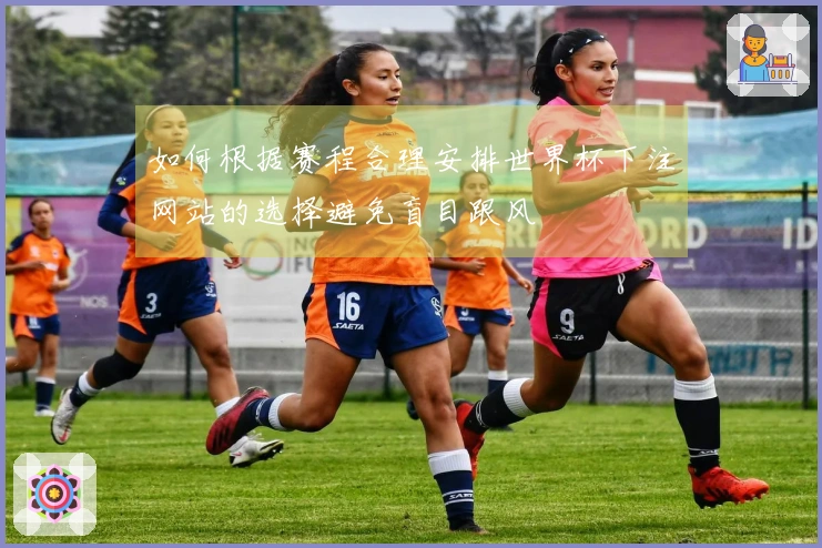 如何根据赛程合理安排世界杯下注网站的选择避免盲目跟风