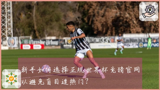 新手如何选择正规世界杯竞猜官网以避免盲目追热门？