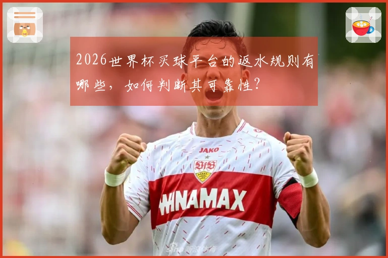 2026世界杯买球平台的返水规则有哪些，如何判断其可靠性？