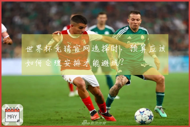 世界杯竞猜官网选择时，预算应该如何合理安排才能避坑？