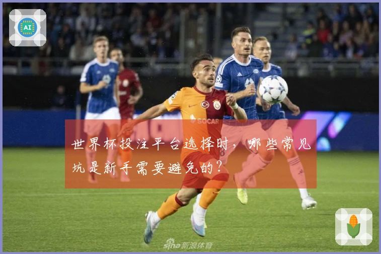 世界杯投注平台选择时，哪些常见坑是新手需要避免的？