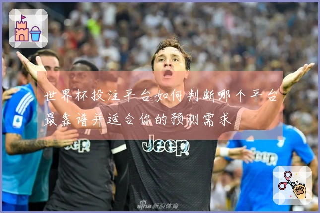 世界杯投注平台如何判断哪个平台最靠谱并适合你的预测需求
