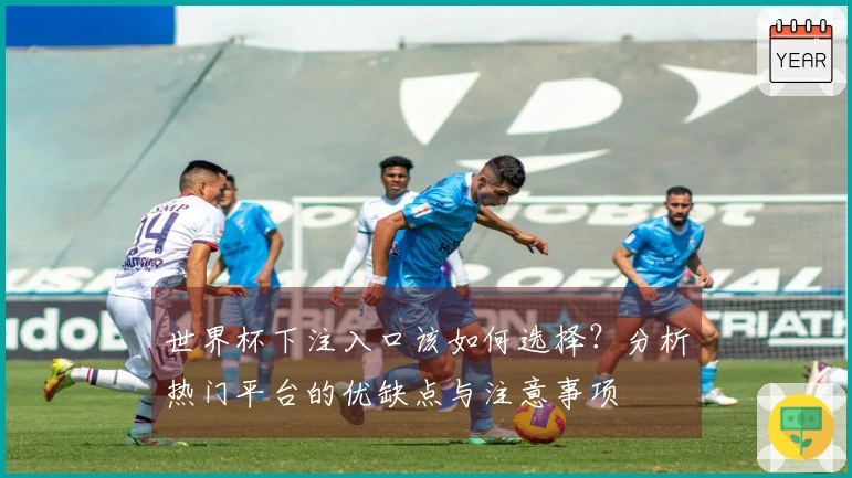 世界杯下注入口该如何选择？分析热门平台的优缺点与注意事项