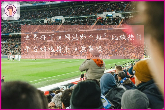 世界杯下注网站哪个好？比较热门平台的选择和注意事项