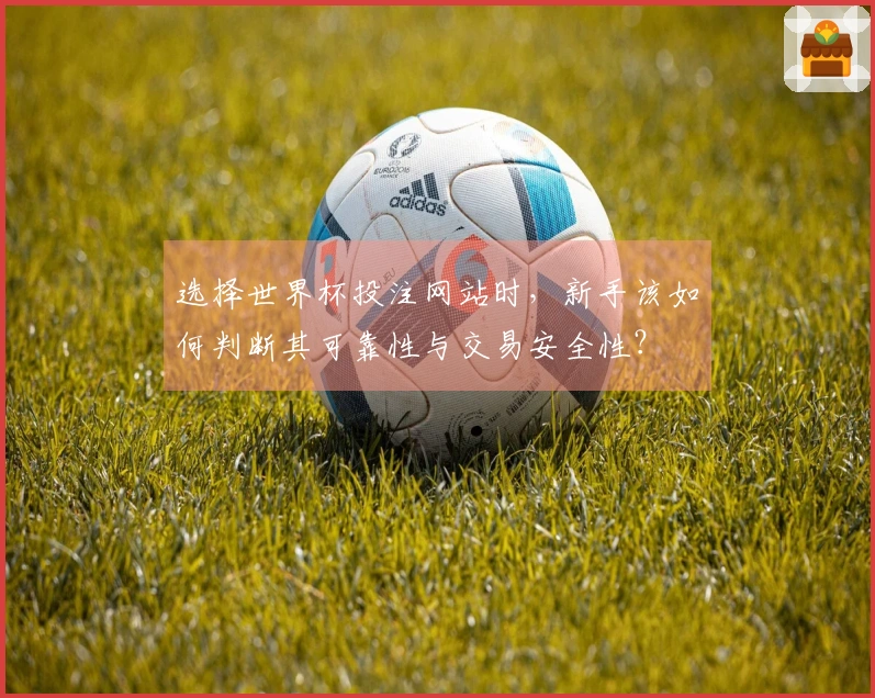 选择世界杯投注网站时，新手该如何判断其可靠性与交易安全性？