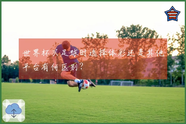 世界杯买足球时选择体彩还是其他平台有何区别？