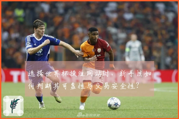 选择世界杯投注网站时，新手该如何判断其可靠性与交易安全性？