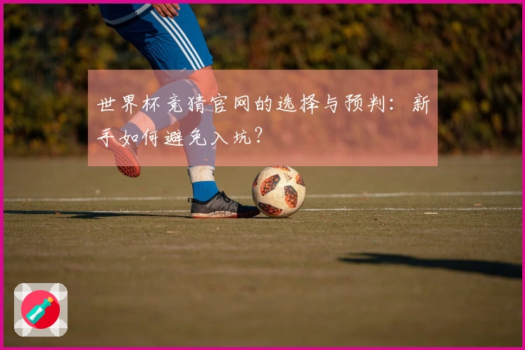 世界杯竞猜官网的选择与预判：新手如何避免入坑？