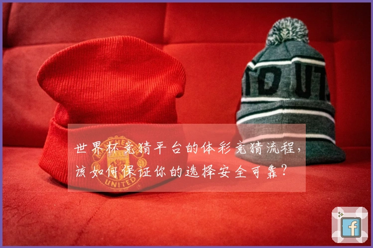 世界杯竞猜平台的体彩竞猜流程，该如何保证你的选择安全可靠？