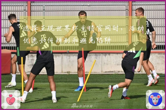 选择正规世界杯竞猜官网时，活动优惠如何辨别和避免陷阱