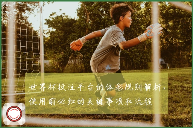 世界杯投注平台的体彩规则解析，使用前必知的关键事项和流程